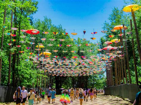 electric forest hq tickets